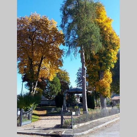 Maison Independ. 6 Personnes A 10 Mn De Gerardmer Granges-sur-Vologne Buitenkant foto