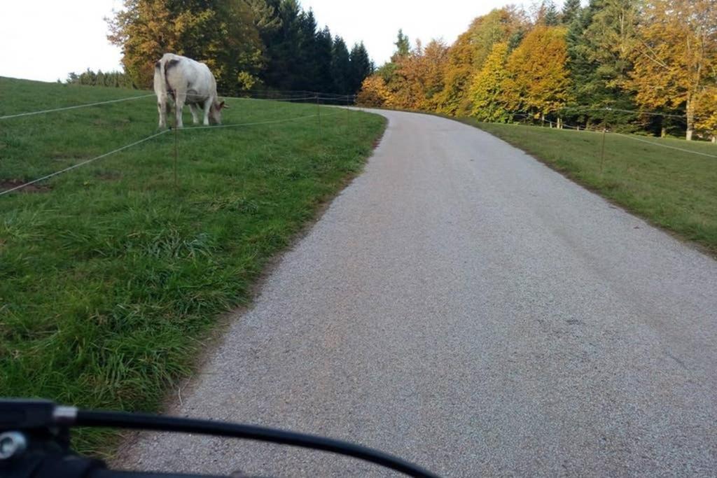 Maison Independ. 6 Personnes A 10 Mn De Gerardmer Granges-sur-Vologne Buitenkant foto