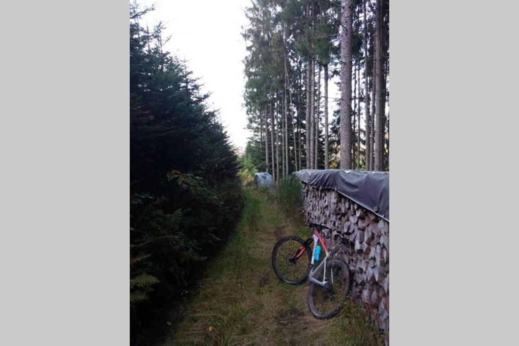 Maison Independ. 6 Personnes A 10 Mn De Gerardmer Granges-sur-Vologne Buitenkant foto